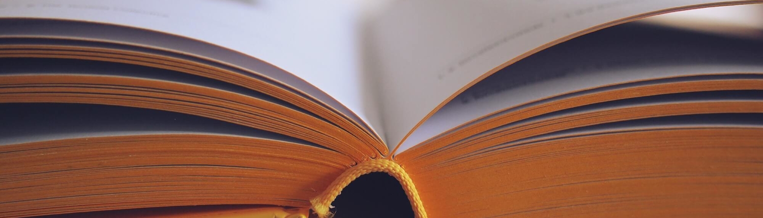 book-bookstore-close-up-261821